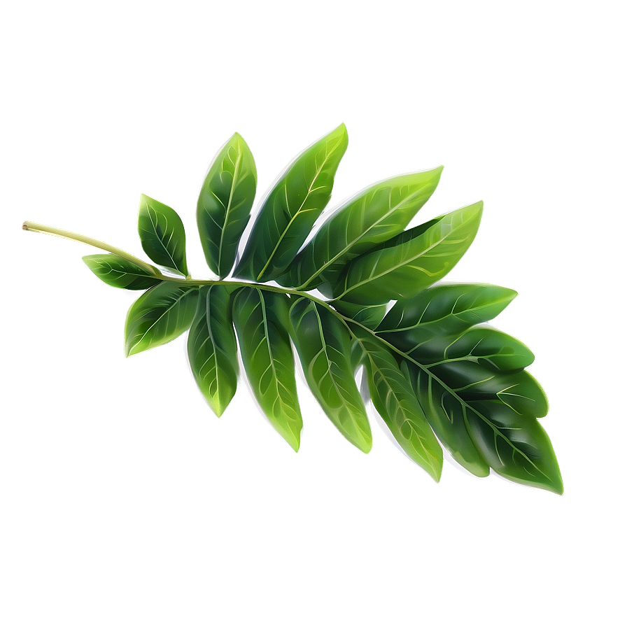 Soft Green Leaves Png 13 PNG image