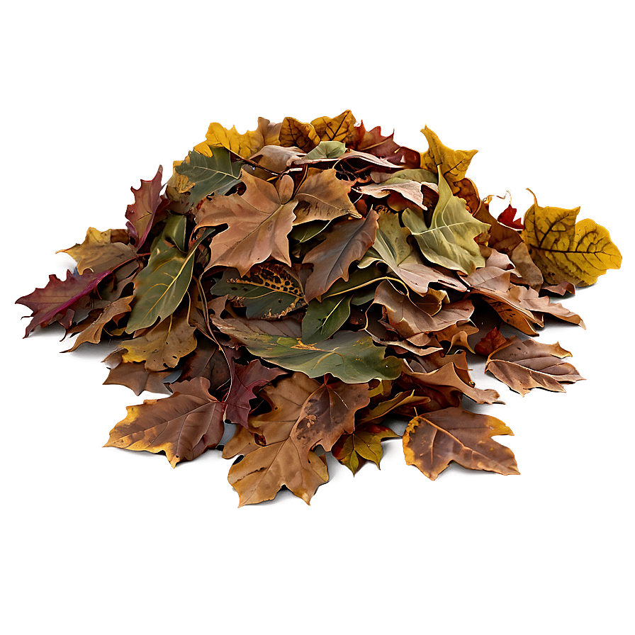 Soft Leaf Pile Png Usf PNG image