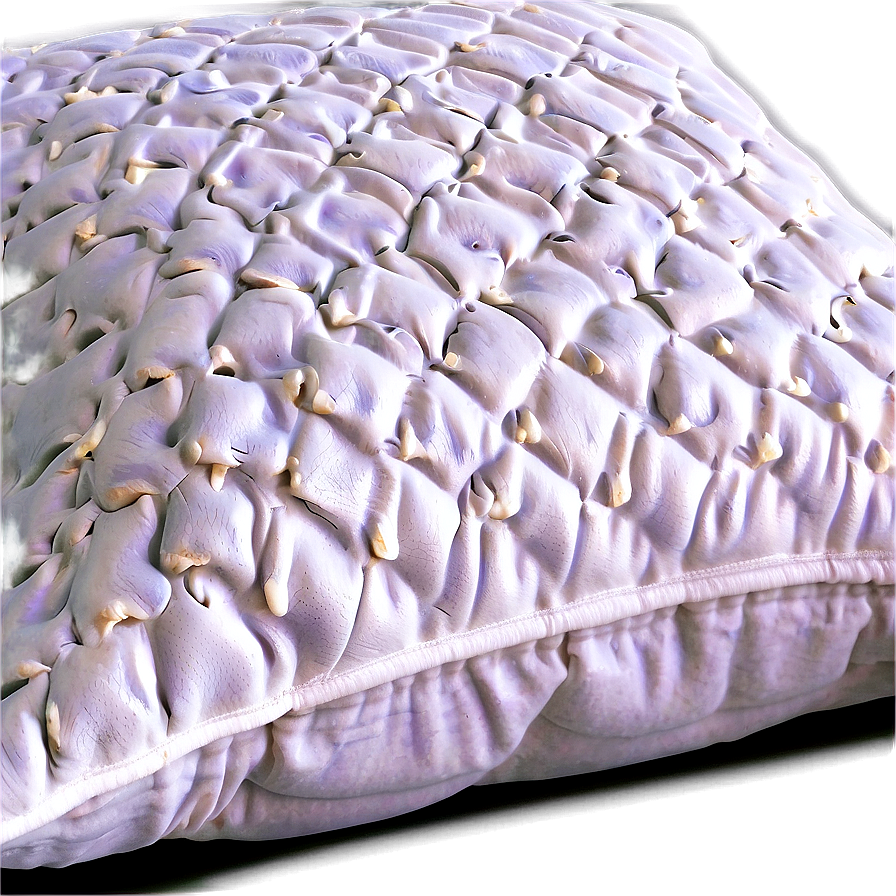 Soft Pillow Png Igb PNG image