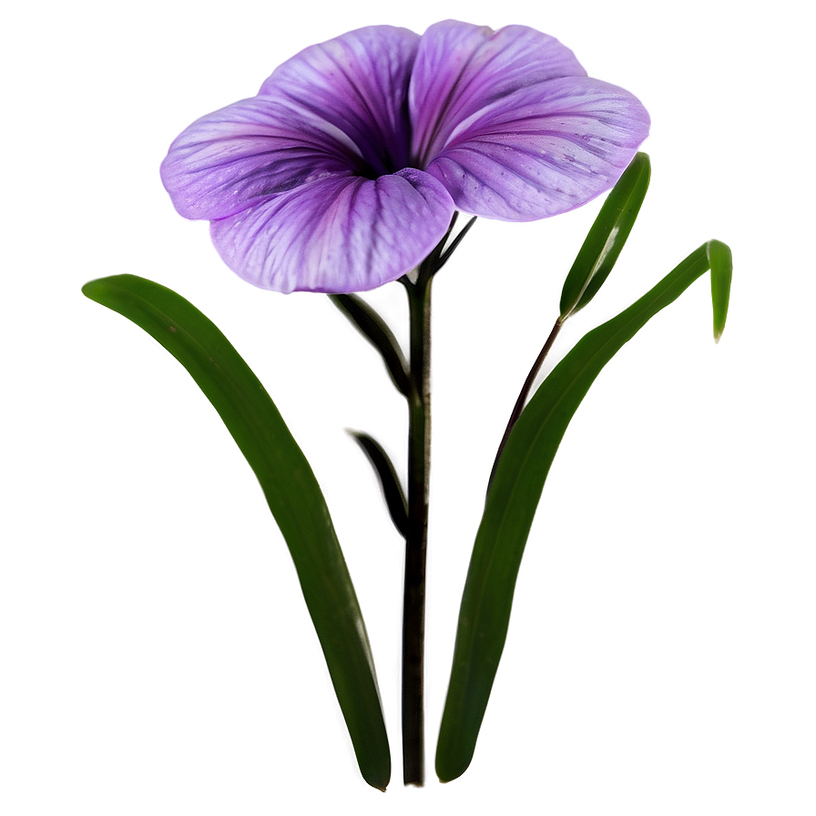 Soft Purple Flower Png 27 PNG image