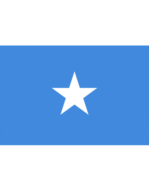 Somalia National Flag PNG image