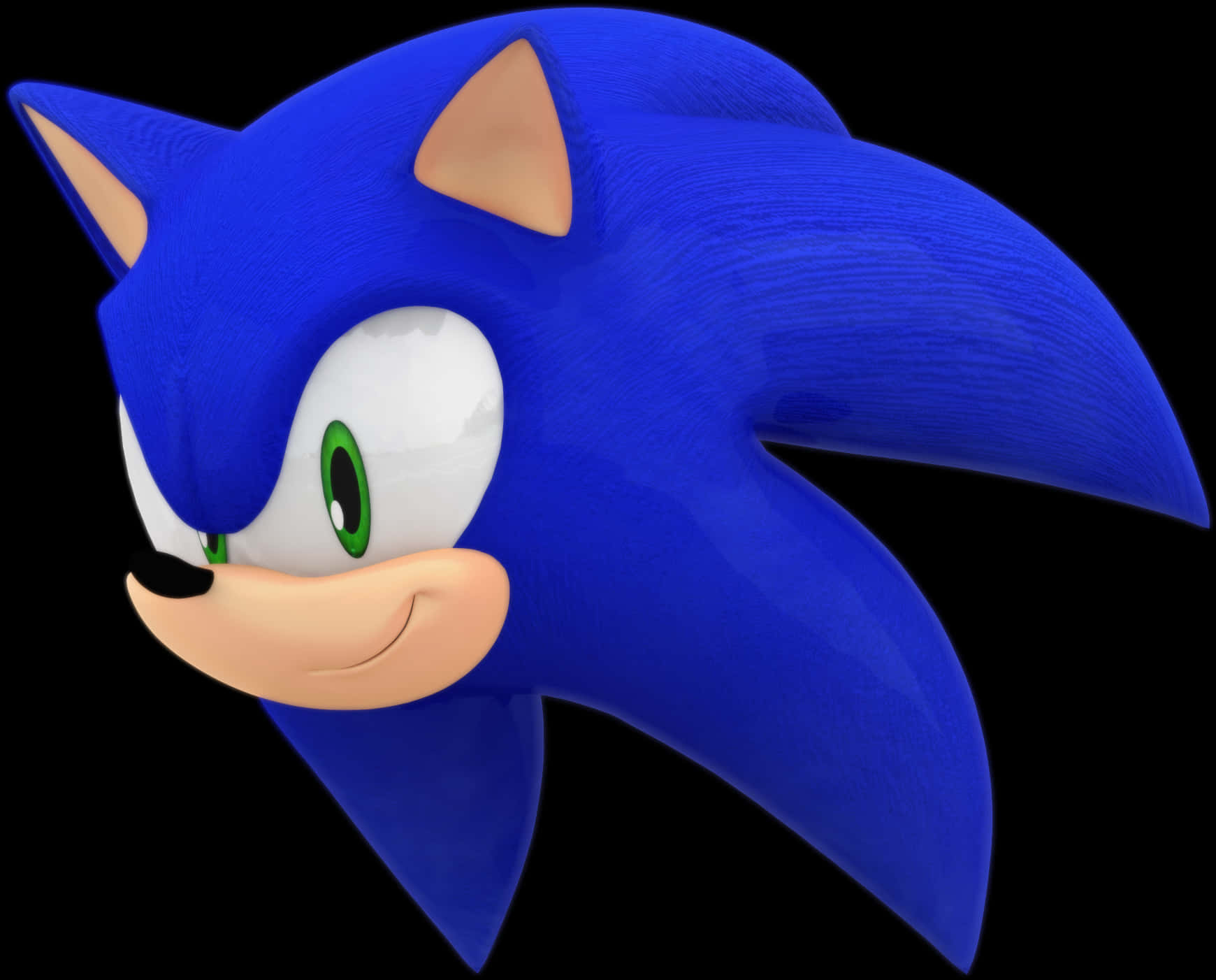 Sonic The Hedgehog Profile View PNG image