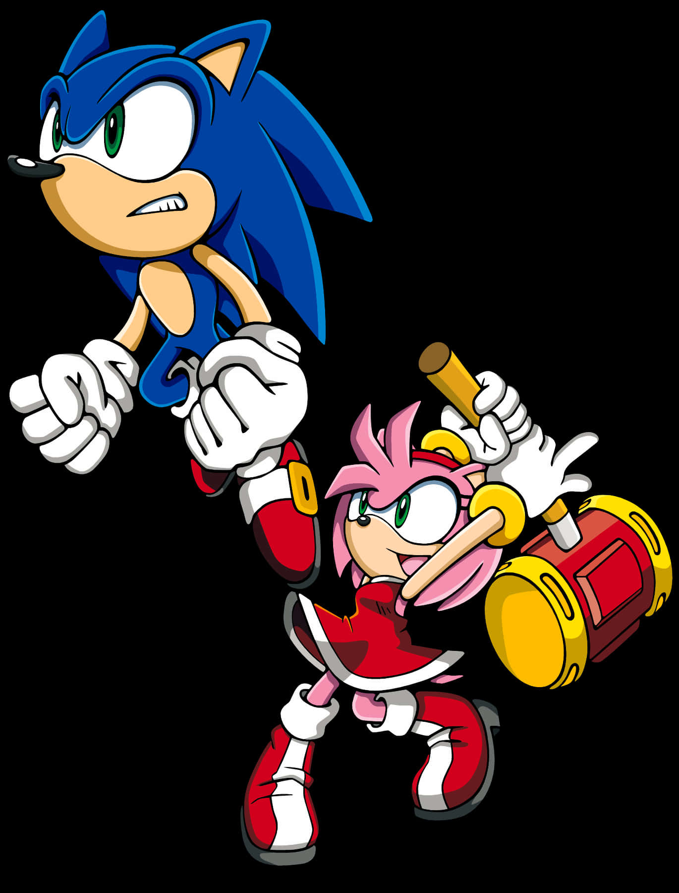 Sonicand Amy Rose Characters PNG image