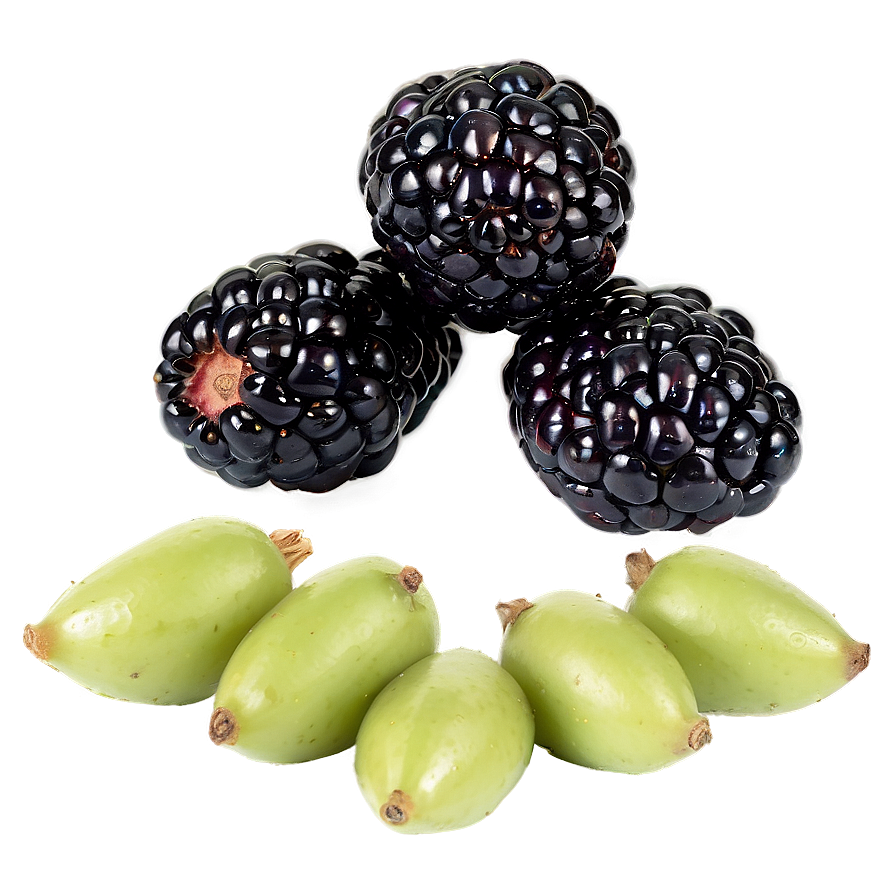 Sour Blackberry Fruit Png Utb PNG image