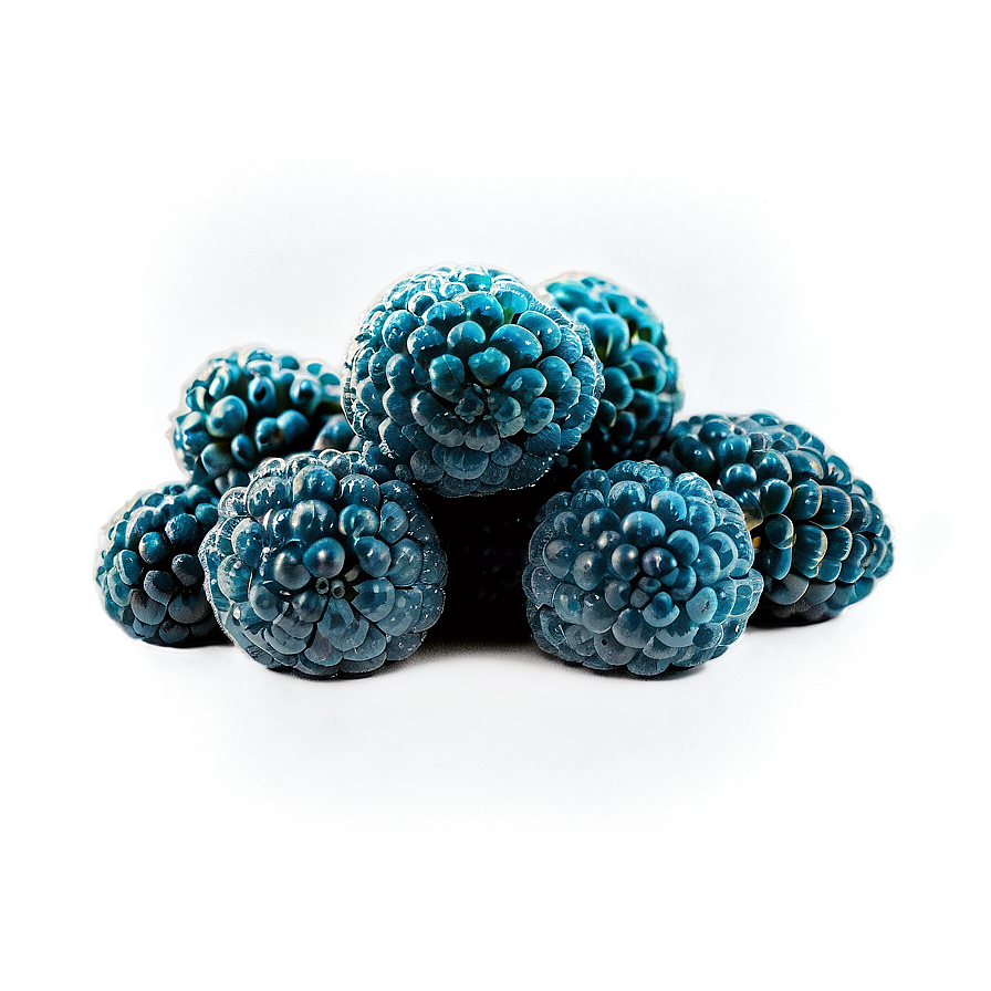 Sour Blue Raspberry Png Aap81 PNG image