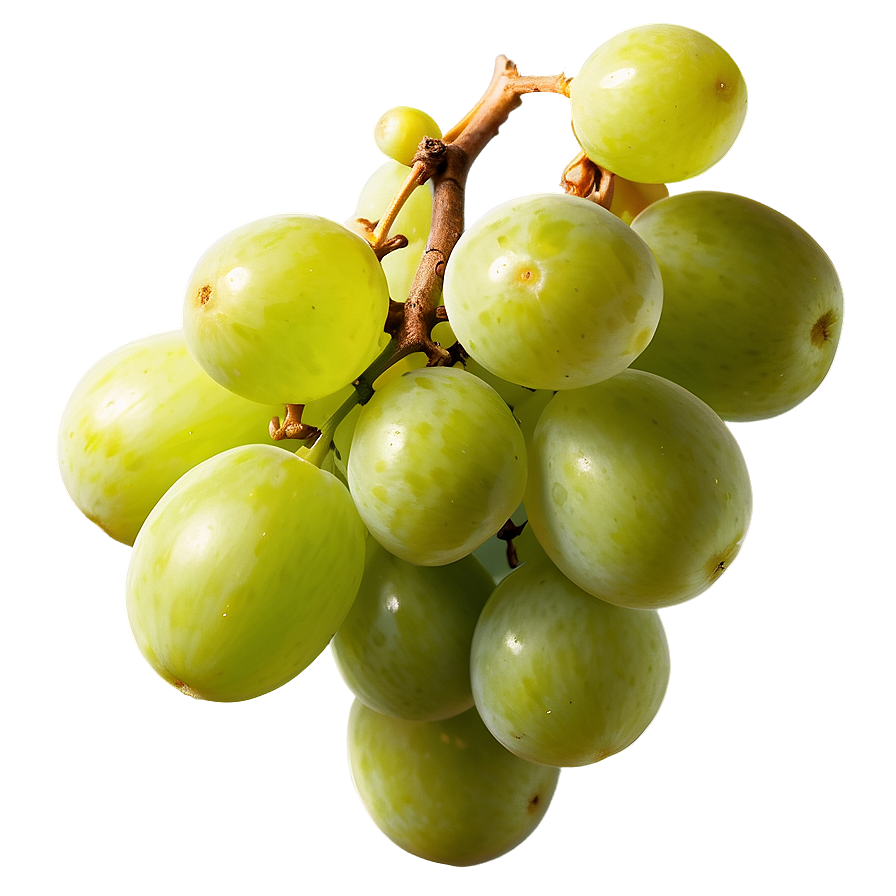 Sour Grape Cluster Png 06252024 PNG image