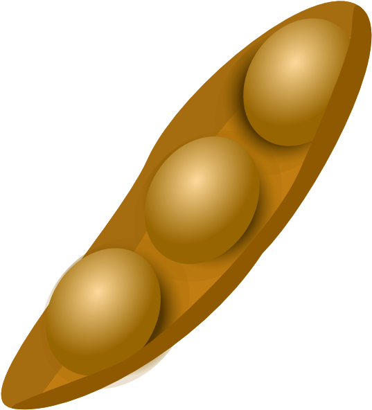 Soybean Pod Illustration PNG image