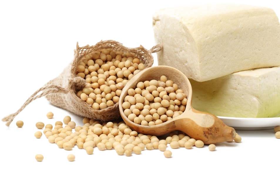 Soybeansand Tofu Display PNG image