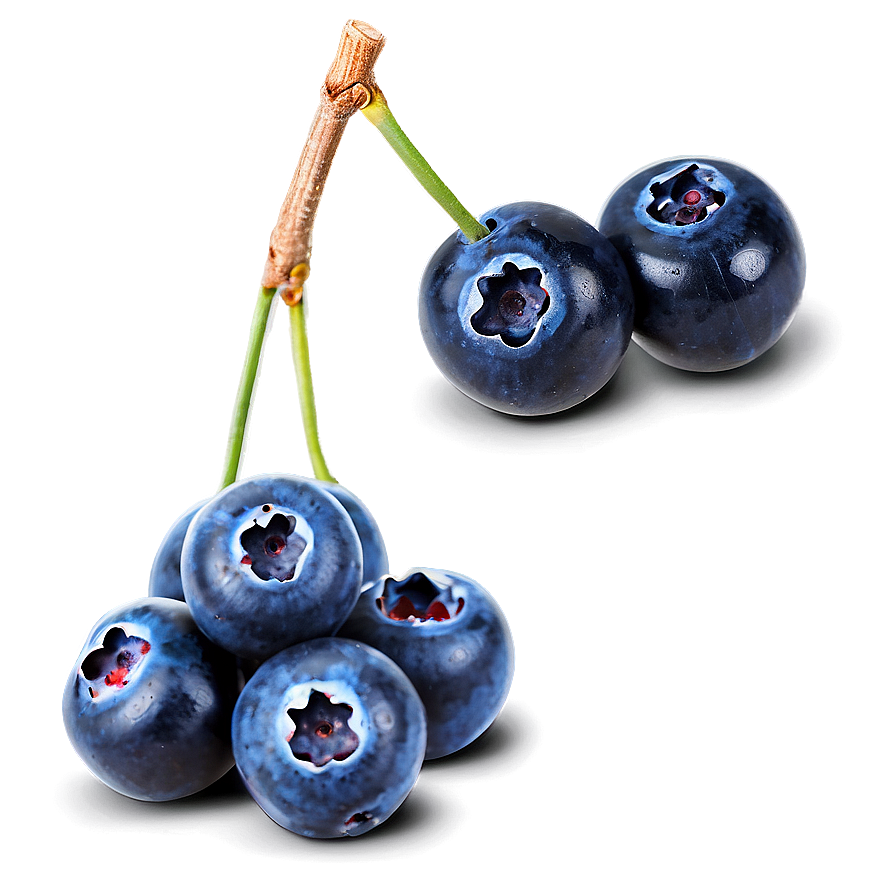 Sparkling Blueberries Png Qvt59 PNG image