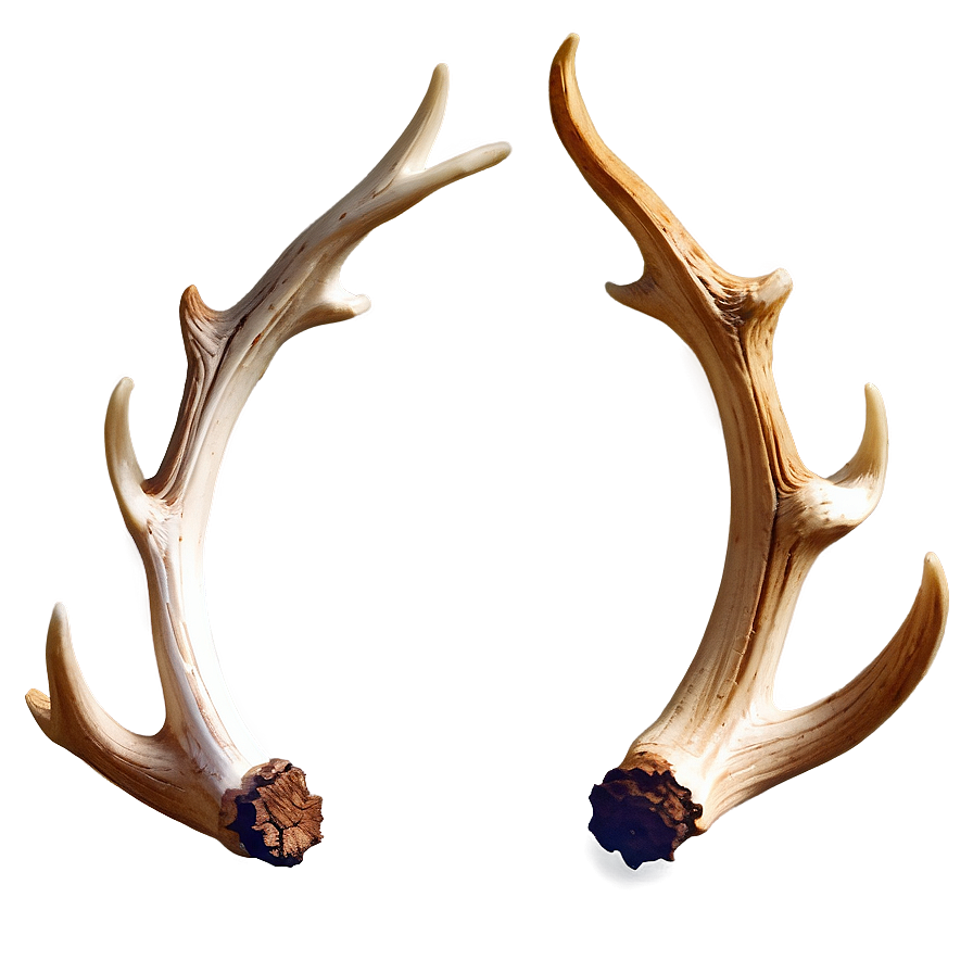 Sparkling Deer Antler Png Juo72 PNG image