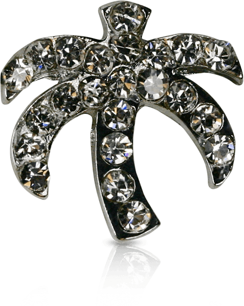 Sparkling Palm Tree Brooch PNG image