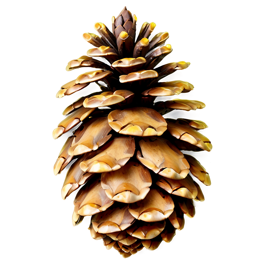 Sparkling Pine Cone Png 06202024 PNG image