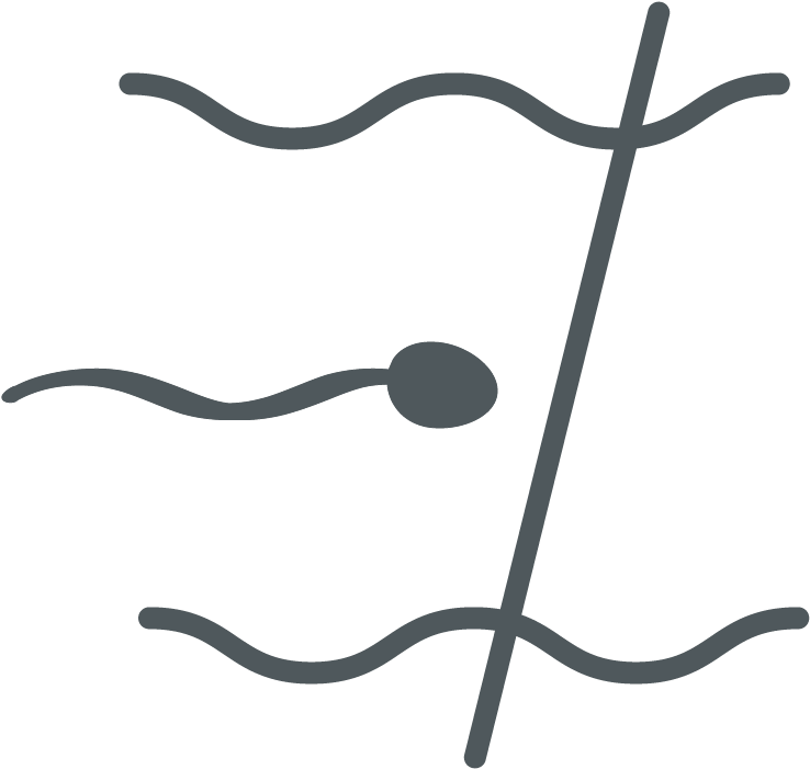 Sperm Cell Icon PNG image