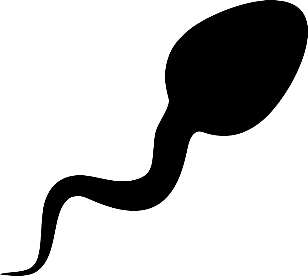 Sperm Cell Silhouette PNG image