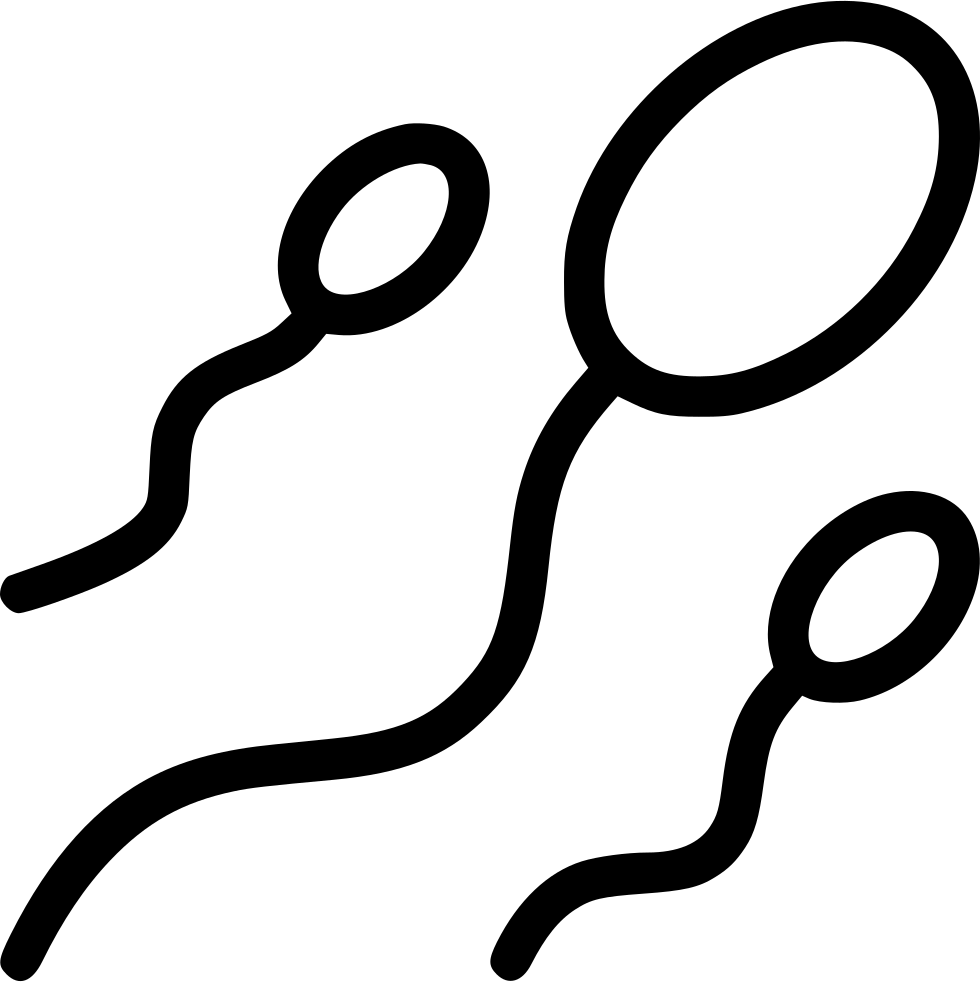 Sperm Cells Silhouette Graphic PNG image