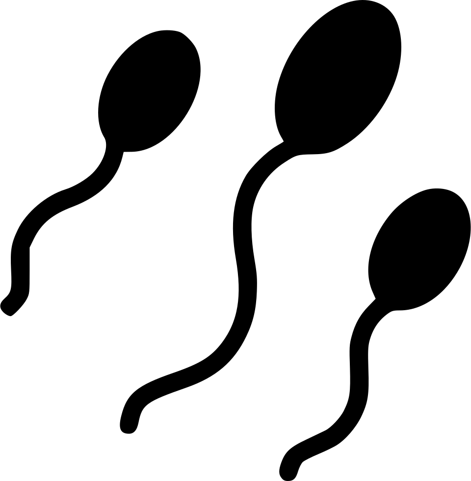 Sperm Cells Silhouette Graphic PNG image
