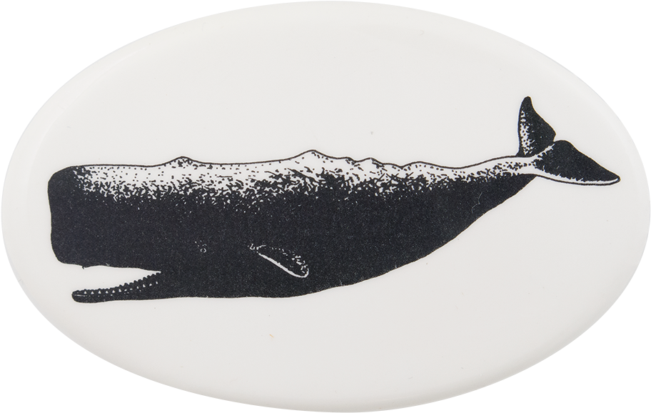 Sperm Whale Silhouette PNG image