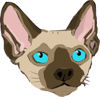 Sphynx Cat Illustration PNG image