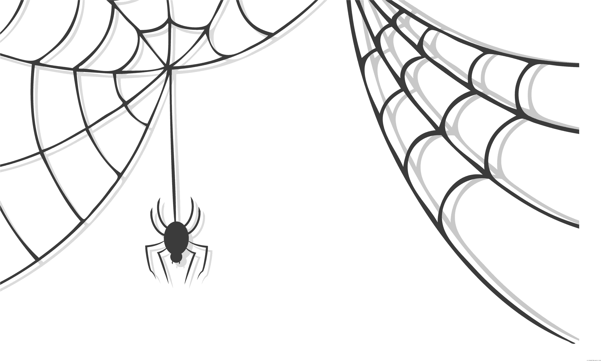 Spider Descending From Web PNG image