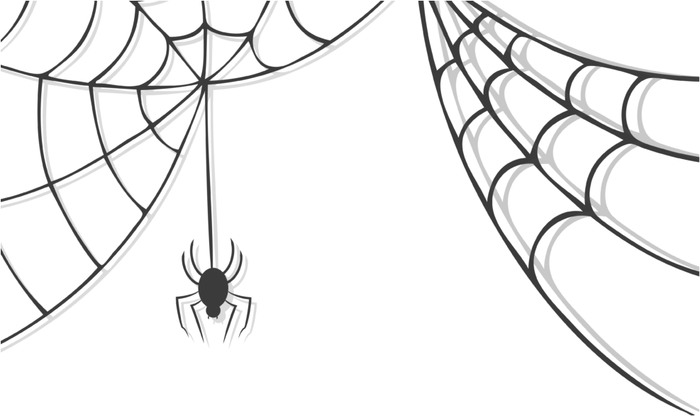 Spider Descending Web PNG image