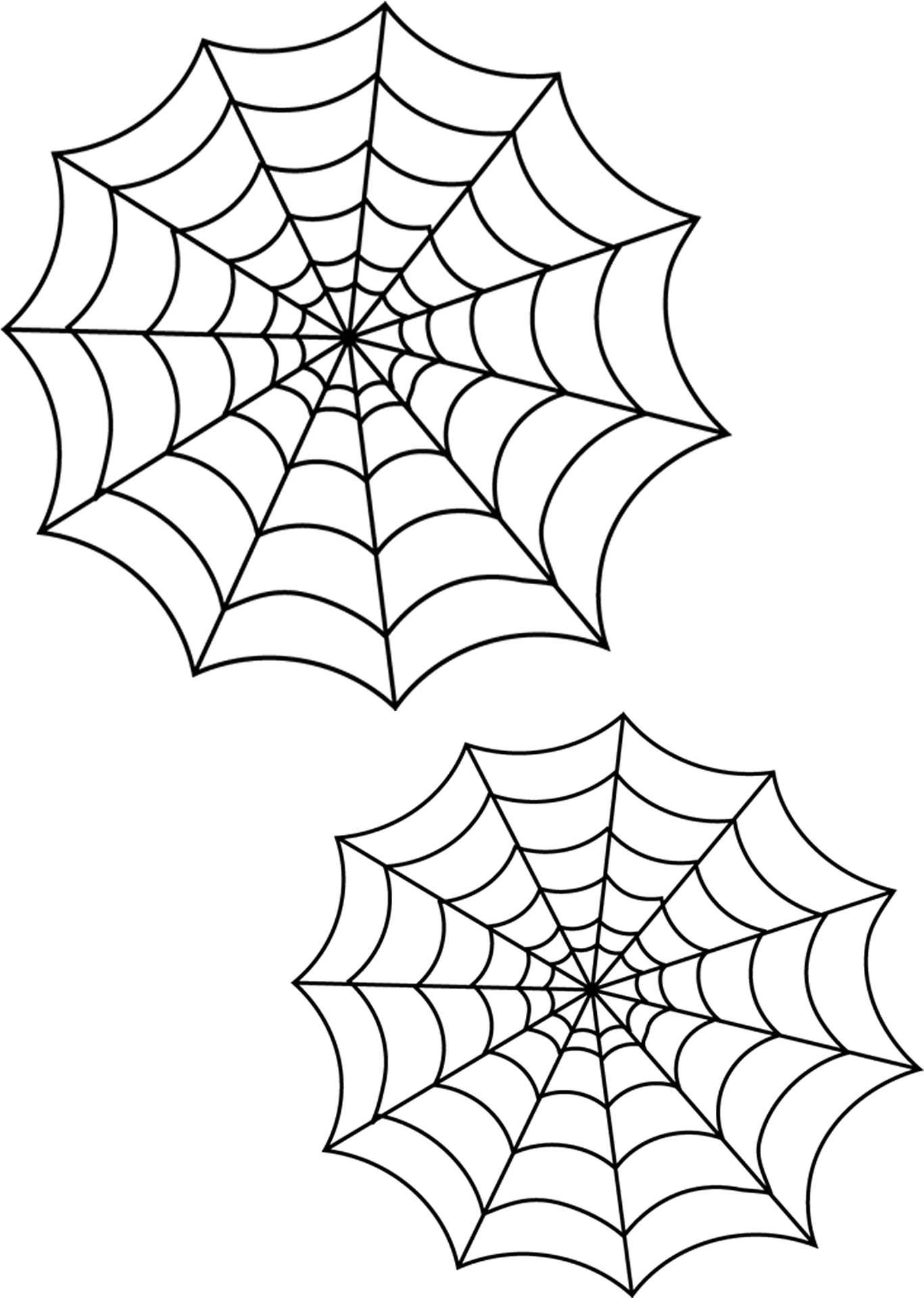 Spider Web Duo Graphic PNG image