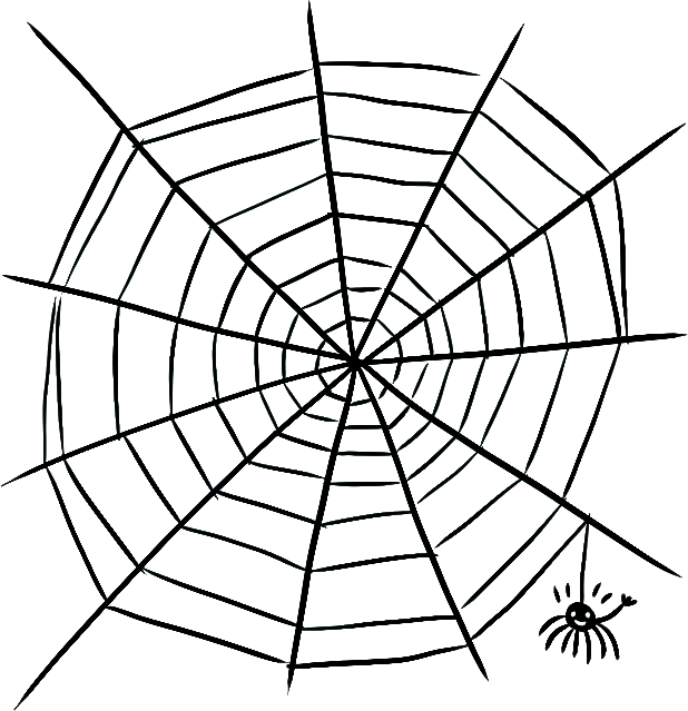 Spider Web Illustration PNG image