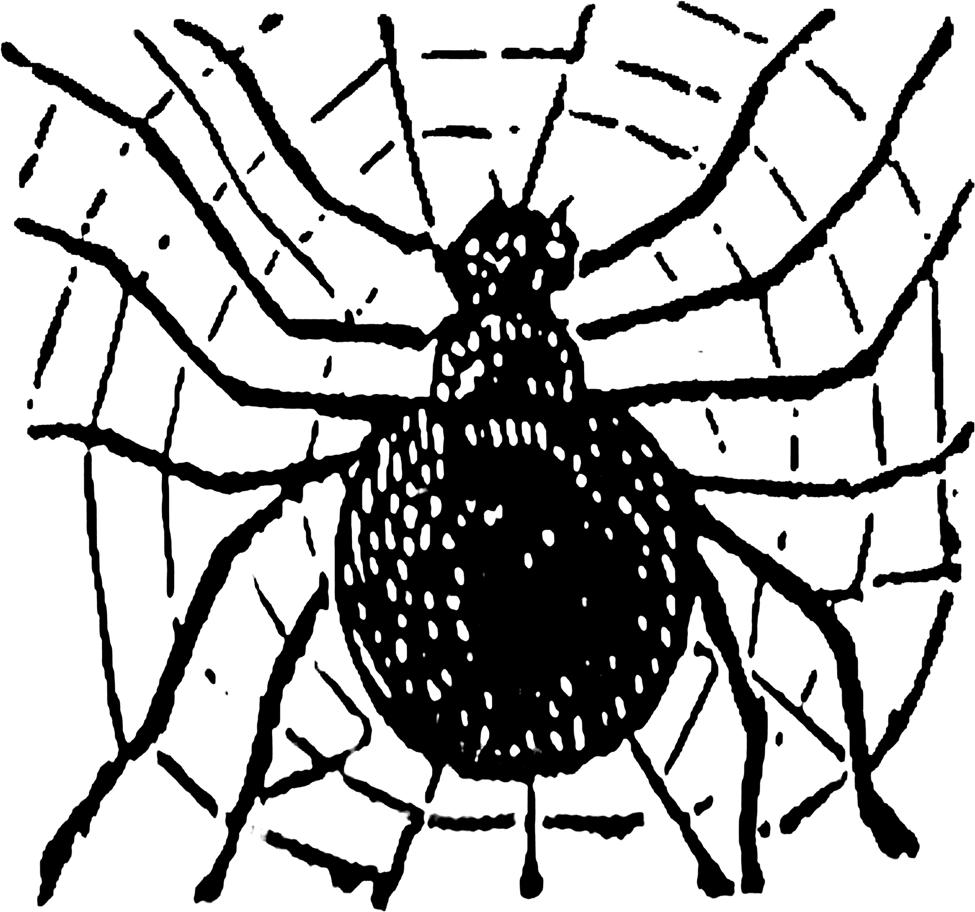 Spideron Web Sketch PNG image