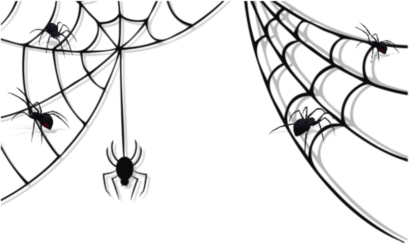 Spiders_on_ Web_ Silhouette PNG image