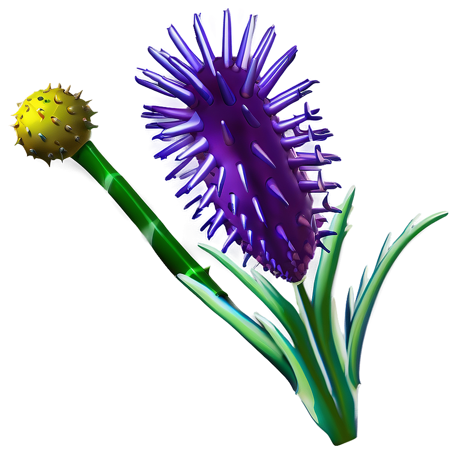 Spiky Flower Bloom Png Pge77 PNG image