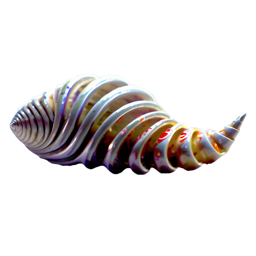 Spiral Sea Shells Png 98 PNG image