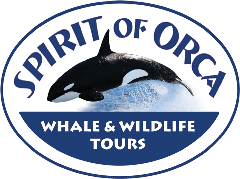 Spiritof Orca Whale Watching Tours Logo PNG image