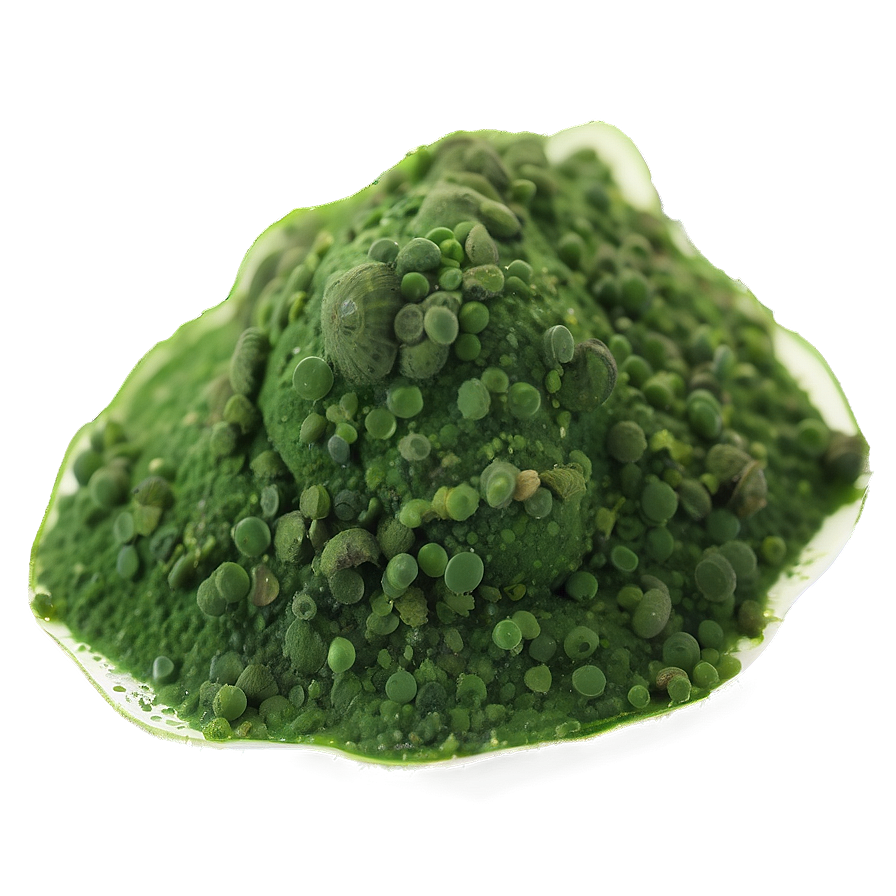 Spirulina Algae Close-up Png Wsj74 PNG image