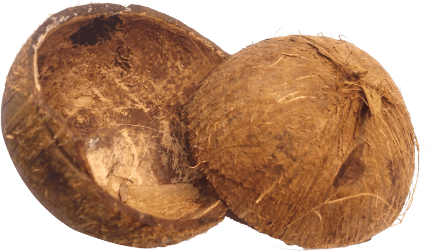 Split Coconut Halves PNG image