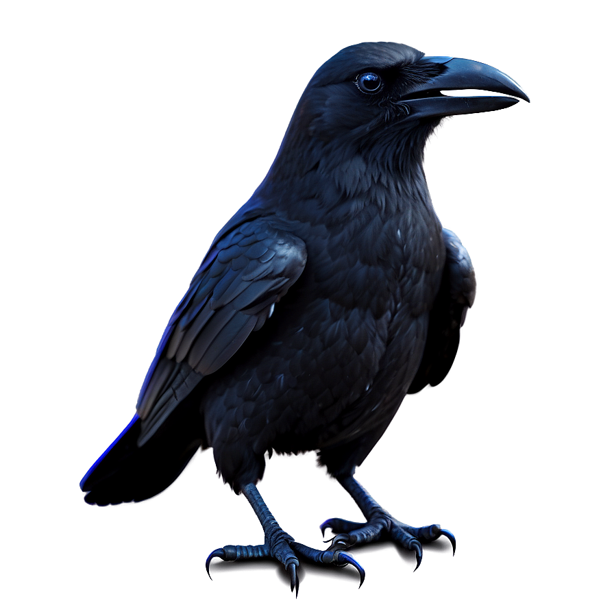 Spooky Crow Png 36 PNG image