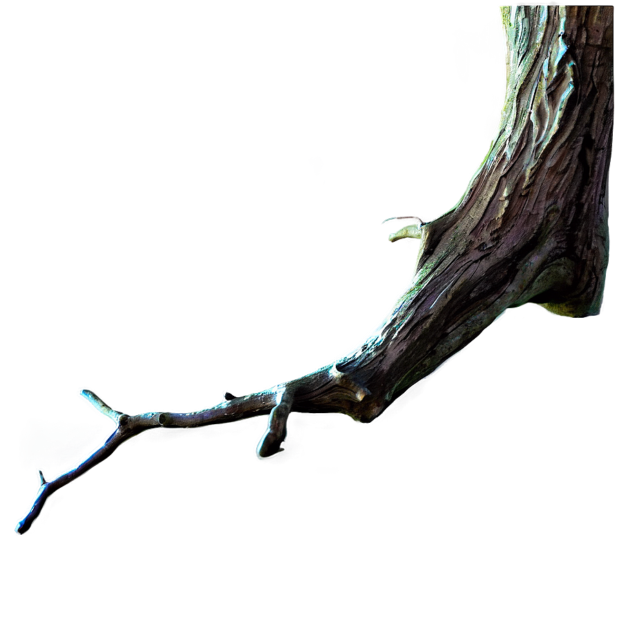Spooky Tree Branch Png Ypw23 PNG image