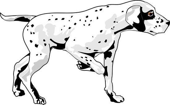 Spotted Dog Graphic Art PNG image