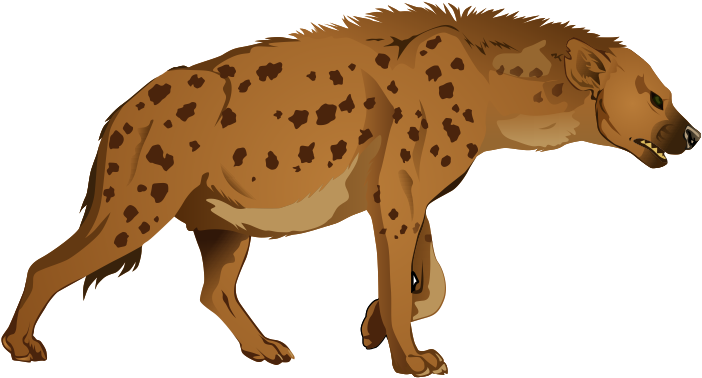 Spotted Hyena Illustration PNG image