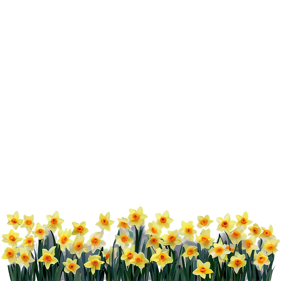 Spring Daffodils Field Png 92 PNG image