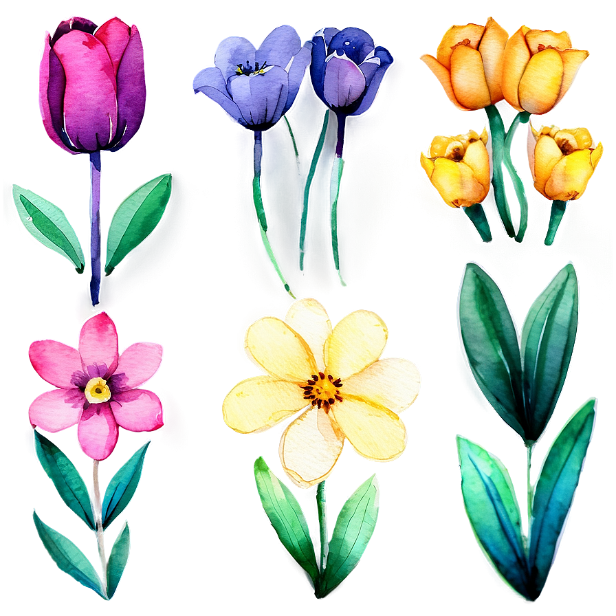 Spring Flowers Watercolor Png Sjl PNG image