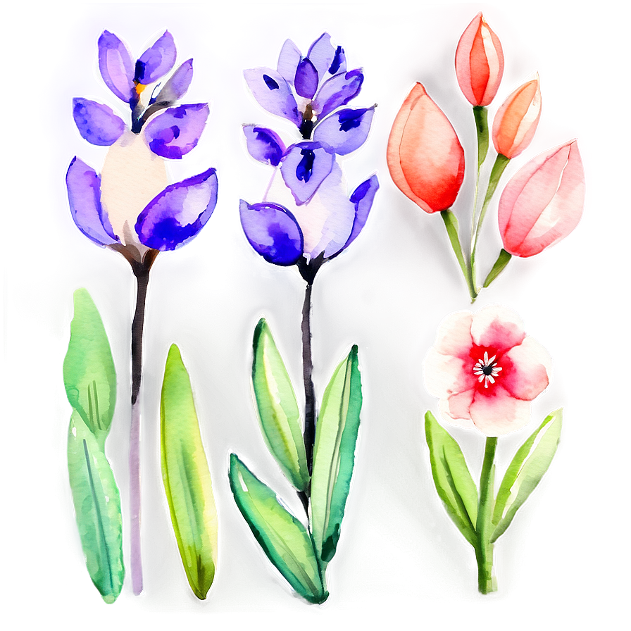 Spring Flowers Watercolor Set Png 32 PNG image