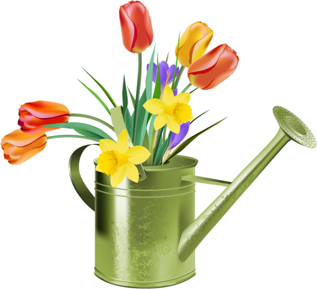 Spring Flowersin Watering Can PNG image