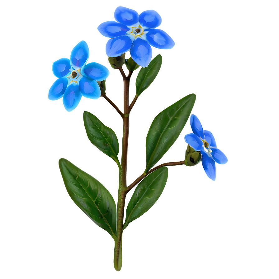 Spring Forget-me-not Png 2 PNG image