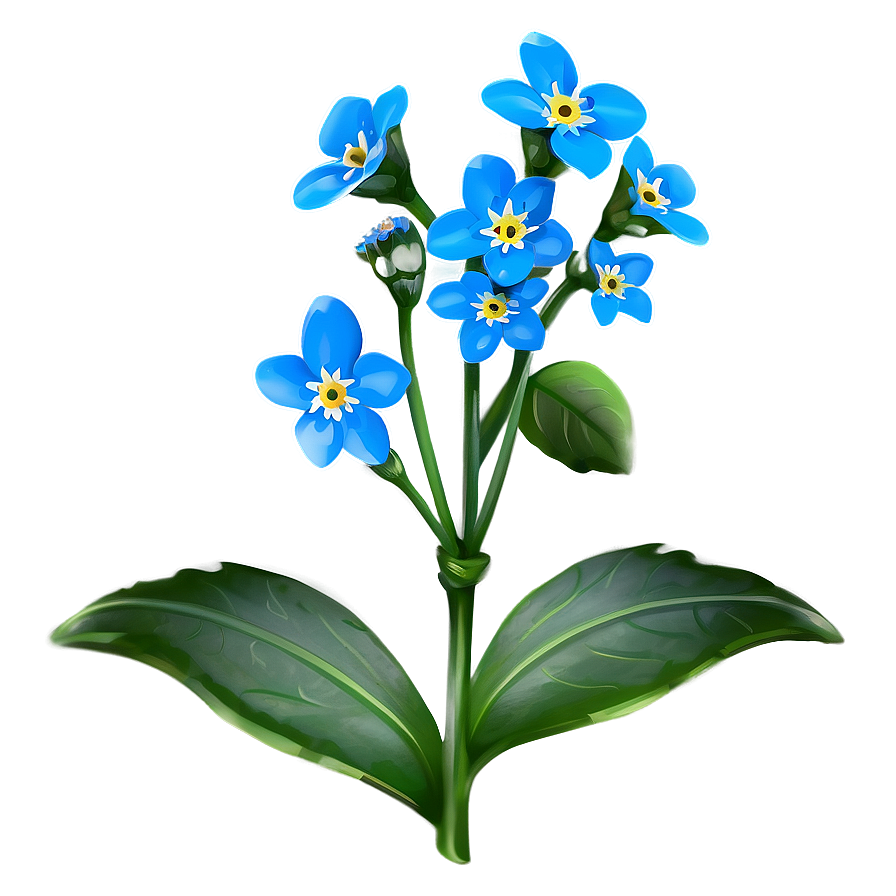 Spring Forget-me-not Png 56 PNG image