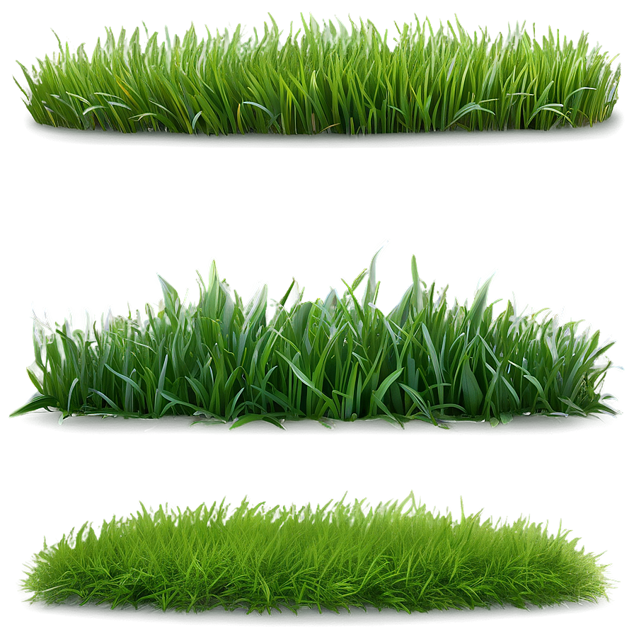 Spring Green Grass Png 06262024 PNG image