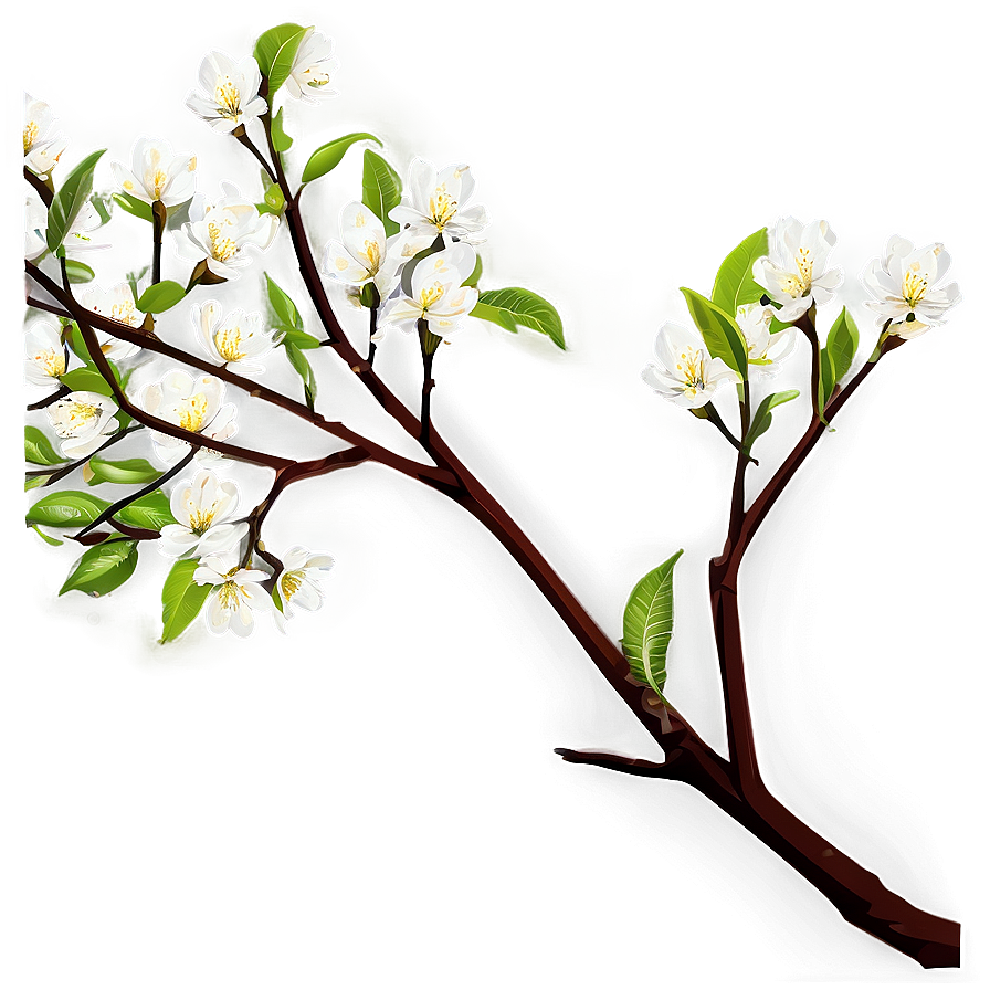 Spring Tree Branch Png 05252024 PNG image