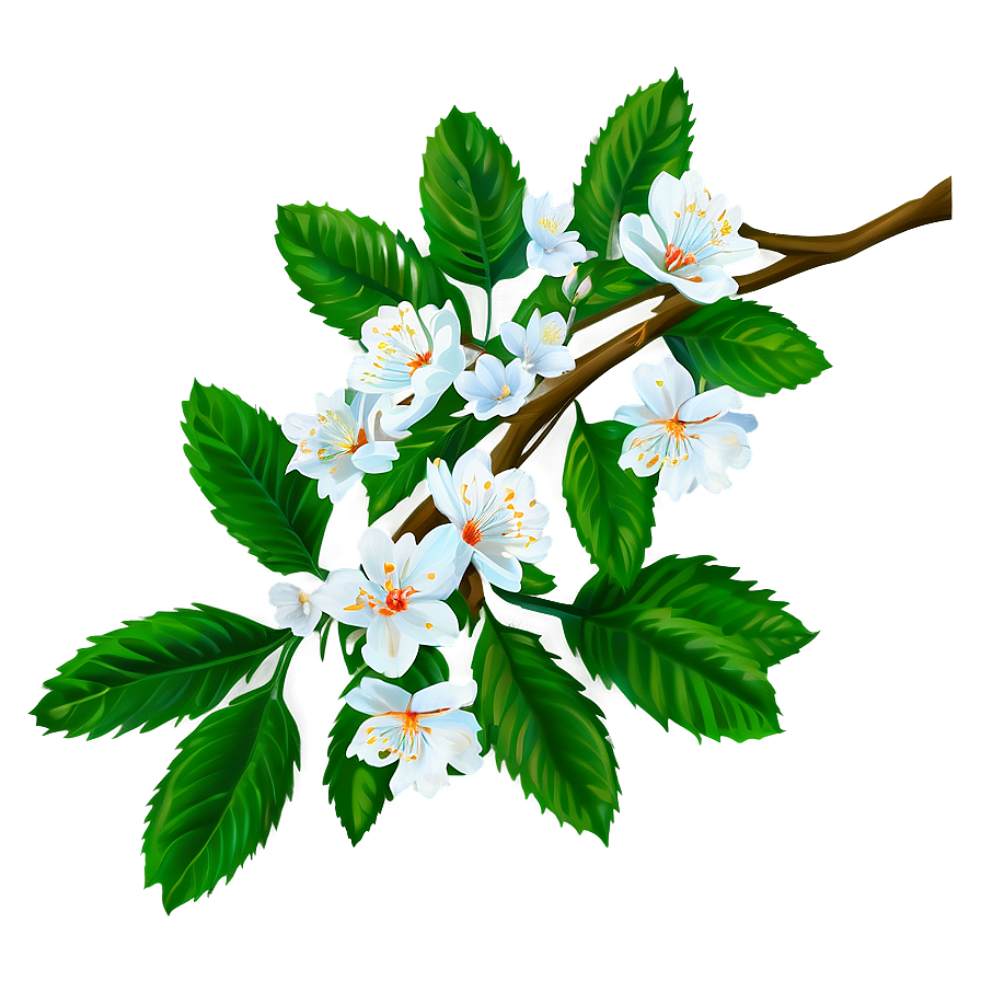 Spring Tree Branch Png 45 PNG image