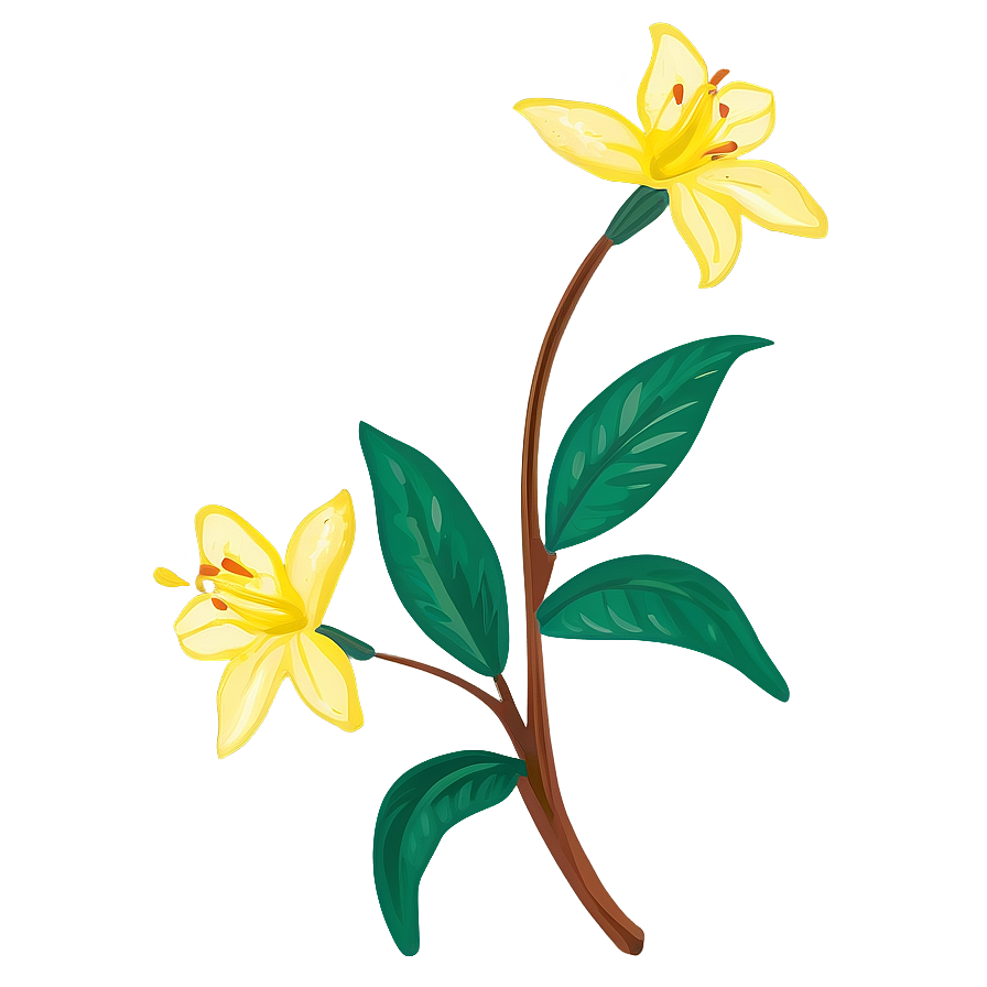 Spring Yellow Flowers Png 06122024 PNG image