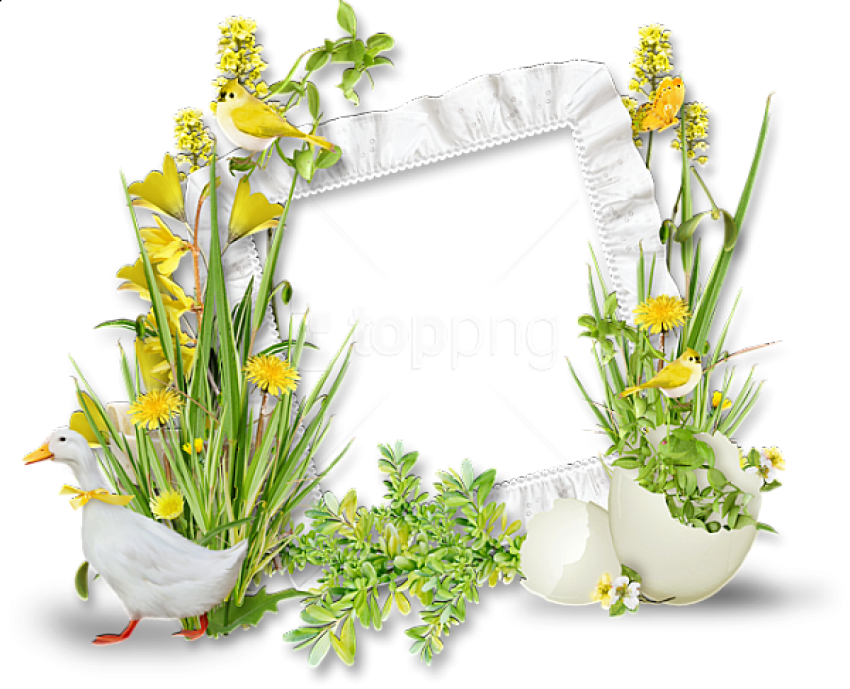 Springtime Nature Photo Frame PNG image