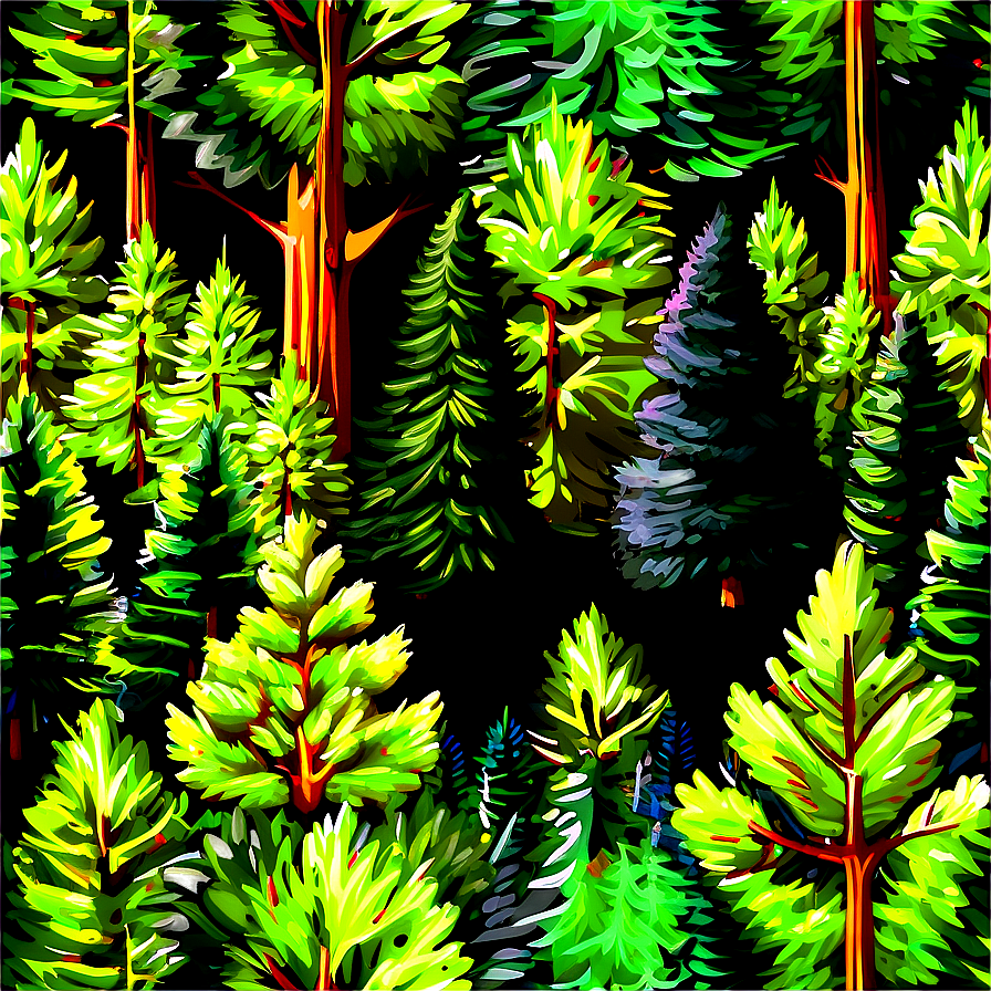 Spruce Tree Forest Landscape Png 06132024 PNG image