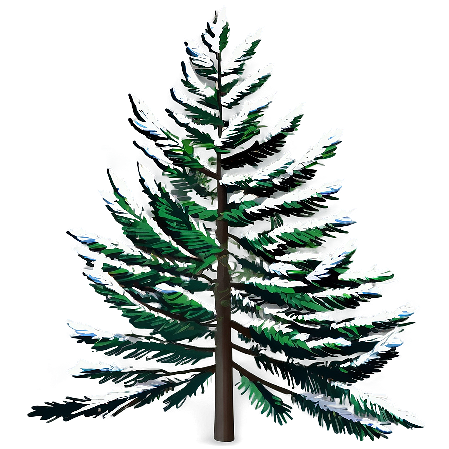 Spruce Tree Forest Landscape Png Qts99 PNG image